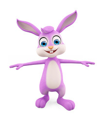 Easter Bunny with standing pose