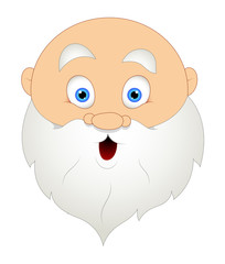 Funny Santa Face