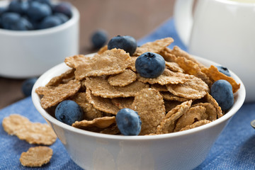 wholegrain flakes with blueberries and jug of milk, close-up