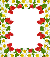 frame with berries and flowers of strawberry