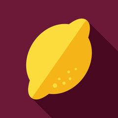 Lemon flat icon with long shadow