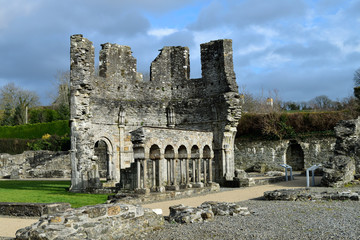 Fototapeta na wymiar Mellifont Abbey, Ireland.