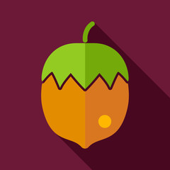 Nut flat icon with long shadow