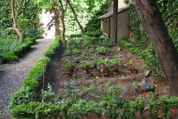 Jardin Casa Lope de Vega