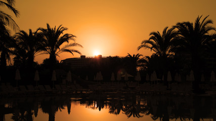 Obraz premium Orange Sunset With Palm Trees and Sun Reflection on Water