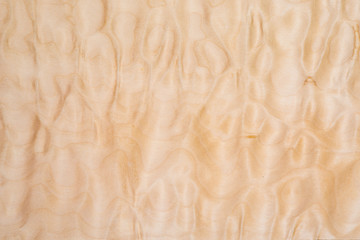 Fototapeta premium Texture of Quilted Maple