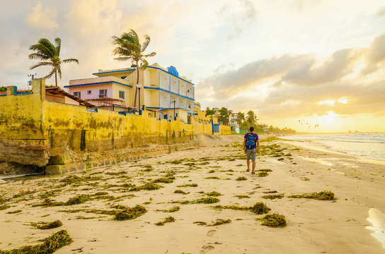 A man walking along the beach in Varadero full of algae, Cuba