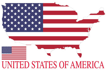 USA flag over contour vector