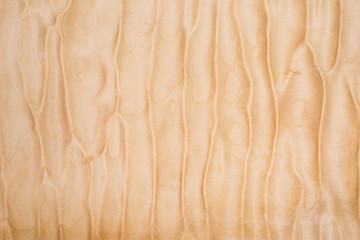 Texture of Quilted Maple