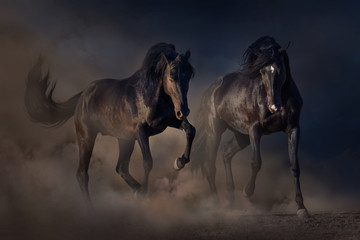 Obraz na płótnie Canvas Two black stallion run in desert dust against sunset sky
