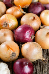red and yellow onion on wooden surface