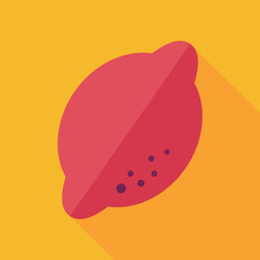Lemon flat icon with long shadow