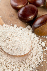 chestnut flour in a wooden spoon
