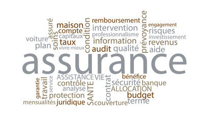 assurance nuage de mots