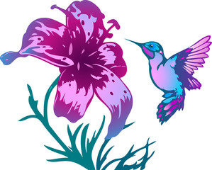tropical hummingbird and flowers