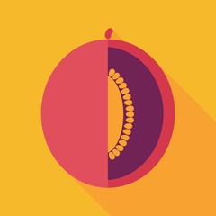 Melon flat icon with long shadow
