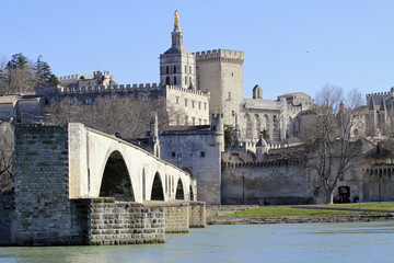 Avignon vue du Rhône