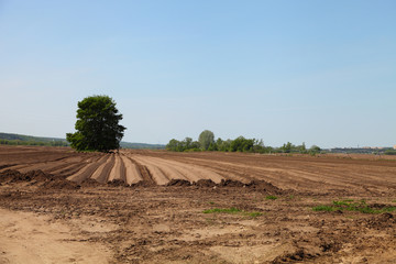 Plowed field in spring day
