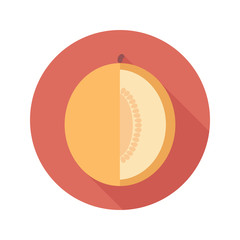 Melon flat icon with long shadow