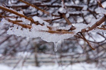 Snow