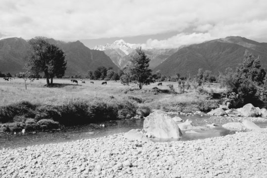 Fototapeta New Zealand mountains. Black and white.