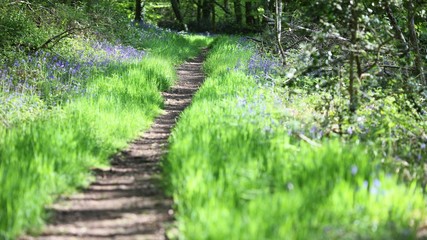 chemin de promenade