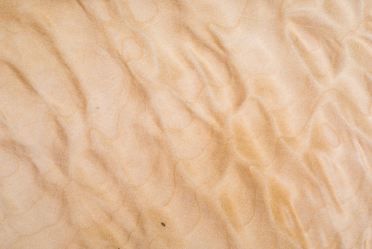 Texture Of Quilted Maple