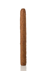 Cigar