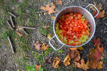 Cooking on a picnic - onion, pepper and tomatoes in a pan