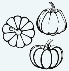 Pumpkins isolated on blue background