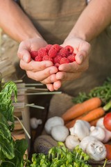 Farmer showing his organic raspberries