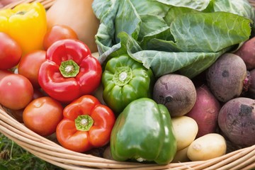 Fototapeta na wymiar Basket of fresh organic veg