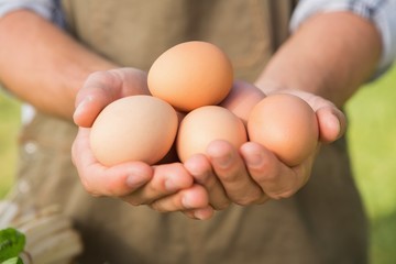 Farmer showing his organic eggs - Powered by Adobe