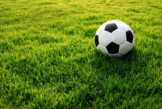 football green grass