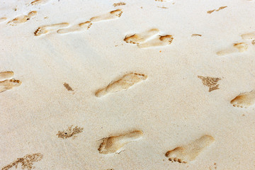 Footprint on sand at the beach