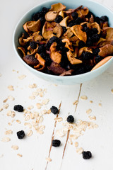 Blue plate with dried apples and berries and oatmeal