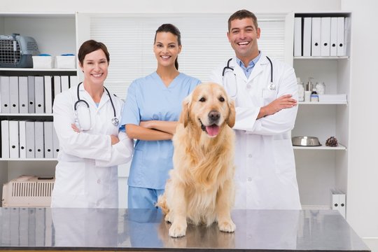 Veterinarian coworker smiling at camera with dog