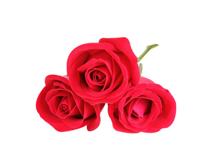 red rose isolated on white background