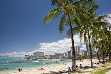 Waikiki beach panorama