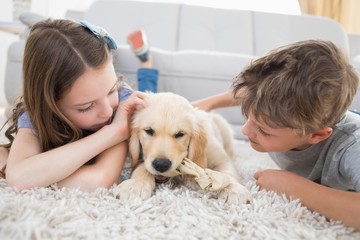 Siblings playing with dog on rug