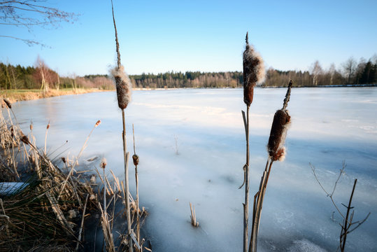 Zugefrorener See