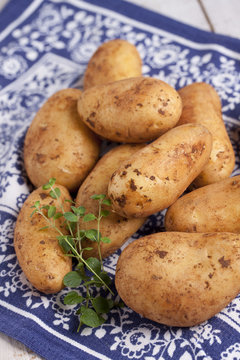 Rohe Kartoffeln festkochend
