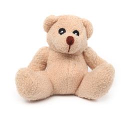 Isolated teddy bear