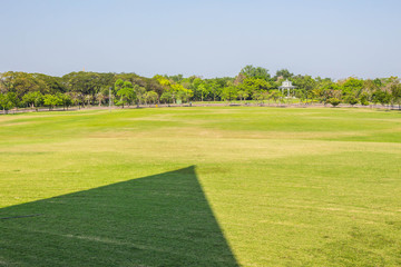 Obraz premium The lawn with shadow