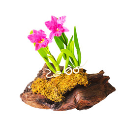 Artificial pink orchid flower