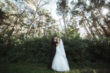 Beautiful wedding couple