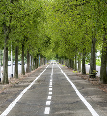Vercelli, cycling lane