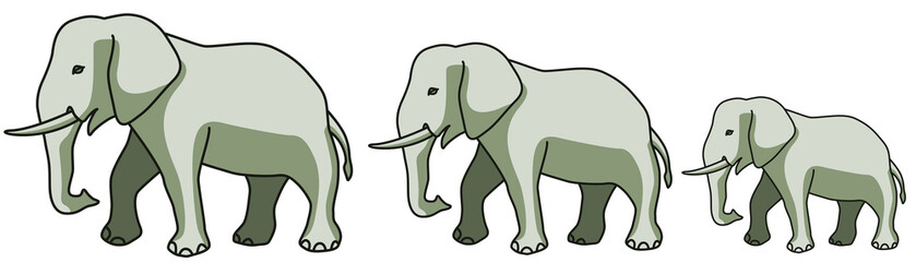 Elephants
