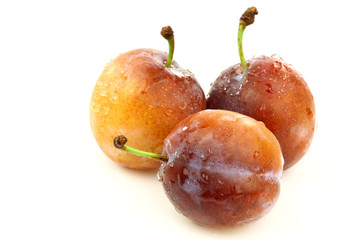 three  fresh ripe plums on a white background