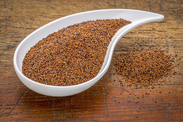 kaniwa grain